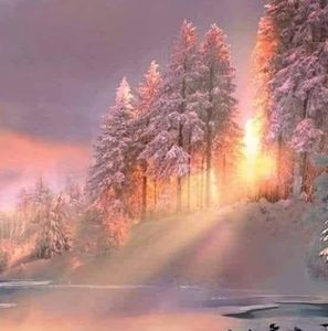 Meet your Posher, Robin